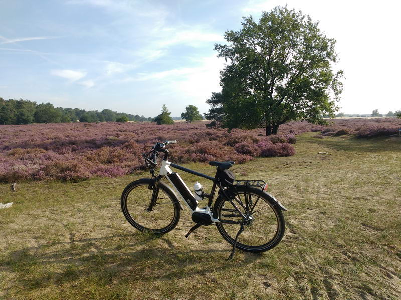 Loonse en Drunense duinen