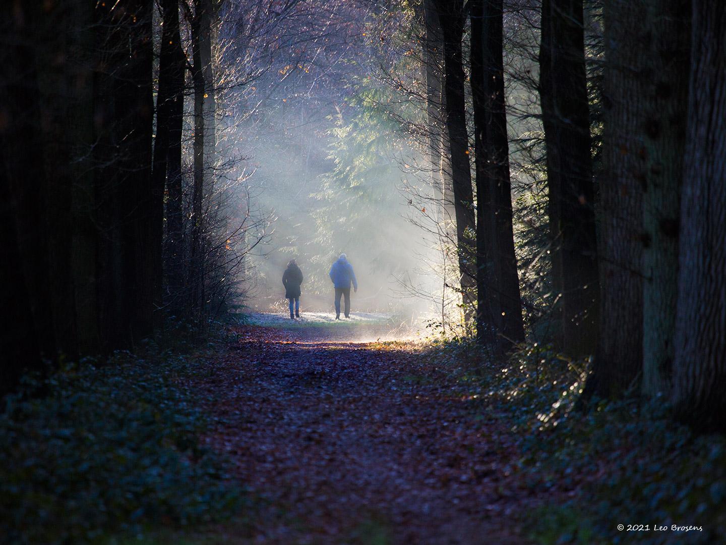 Verschuiving?  20210110  Gisteren gewandeld in De Moeren. Weinig vogels gezien of gehoord. Wel veel wandelaars gezien; niet onlogisch gezien de coronabelemmeringen en het mooie weer van dat moment. Van een wandelaar hoorde ik dat er best wat mensen uit Breda aanwezig waren; in het Mastbos zou het te druk zijn? Zien we een verschuiving; minder vogels, meer wandelaars in onze natuur?