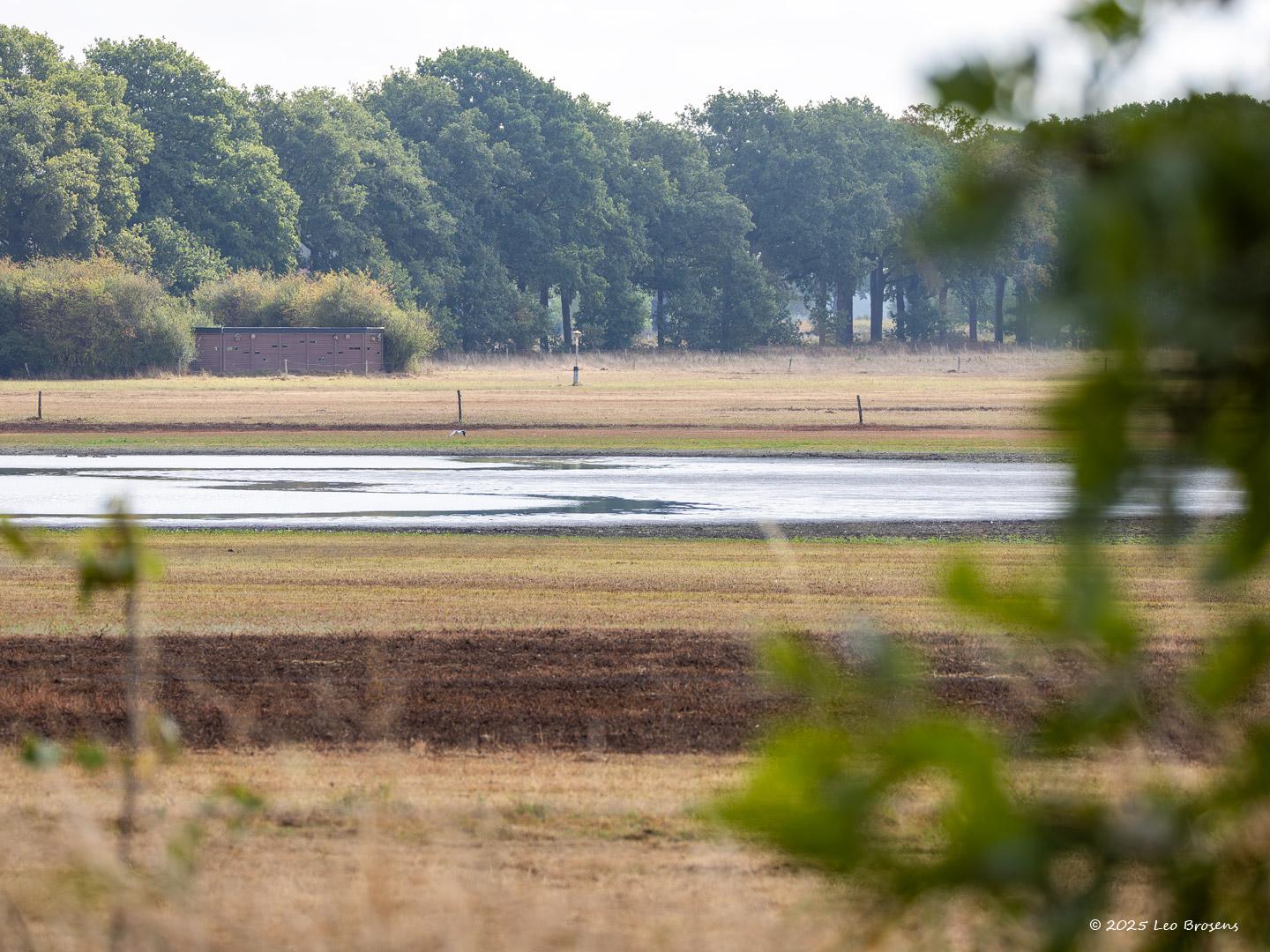 nBleke-Heide-20250830g14401A1A2625avcrfb-Bleke-Heide.jpg