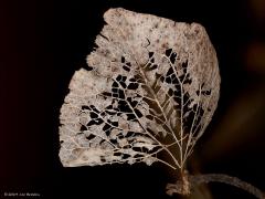 20190110 De herfst voorbij