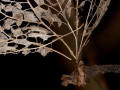 20190111 De herfst voorbij