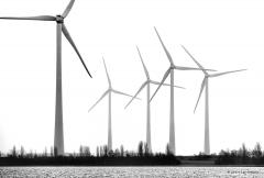 20190121 Zal de consumtiemaatschappij de energietransitie voor elkaar krijgen? Zal de toekomst rooskleurig blijven? Of wordt de toekomst moeilijk, somber, kleurloos, waarbij het waterpeil stijgt?