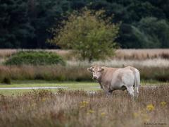 20170713 Medewerker Groenvoorziening Brabants Landschap