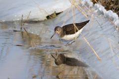 20120208 Witgat