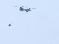 Heel grote watervogel  20210423  Ik liep vanmiddag bij de Mortelbeek. Op heel grote afstand, in de richting van België, zag ik een Chinook met iets vliegen. Op de foto is dat iets goed te herkennen, een bluswaterzak.  Thuis las ik bij BNDeStem: Grote brand in Belgisch natuurgebied net over de grens bij Zundert, Chinooks van Gilze-Rijen ingezet. Er is vrijdagochtend een grote brand uitgebroken op het militair domein en natuurgebied Groot Schietveld in Brecht, net over de grens bij Zundert.