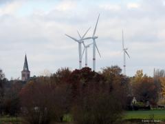 De Maatjes  20211120  Gistermiddag stond ik op de uitkijktoren "De Klot" in De Maatjes. Mooie vergezichten heb je daar. Nieuwmoer met oude toren en nieuwe molens. Vooraan resten nat land waar door de eeuwen heen ca. 2,5 meter turf is afgegraven. Veel grauwe ganzen, minder kolganzen en canadese en ook een aantal patrijzen. En het verst weg, een wit stipje dat een Indische Gans blijkt te zijn. Dit ontsnapt exemplaar laat zich daar in de buurt al vele jaren zien. De telelens heeft er zijn handen meer dan vol