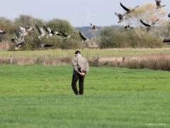 Weg ermee.   20221106  Afgelopen week was ik bij De Klot, de uitkijktoren in De Matjens. Daar tegenover zaten heel veel ganzen in een mals groene weide, voornamelijk kolganzen. Komt er een oude man aangefietst, zet zijn fiets aan de kant, opent het hek van die wei en loopt op zijn gemak op de ganzen af. Je raad het al, alle ganzen de lucht in. Tevreden kon de man daarna nog eens het te monotone gras bekijken. Zelf was ik minder tevreden.