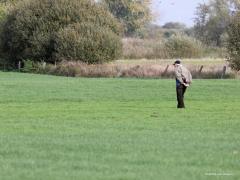 Weg ermee.   20221106  Afgelopen week was ik bij De Klot, de uitkijktoren in De Matjens. Daar tegenover zaten heel veel ganzen in een mals groene weide, voornamelijk kolganzen. Komt er een oude man aangefietst, zet zijn fiets aan de kant, opent het hek van die wei en loopt op zijn gemak op de ganzen af. Je raad het al, alle ganzen de lucht in. Tevreden kon de man daarna nog eens het te monotone gras bekijken. Zelf was ik minder tevreden.