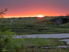 20240722  Schakerloopolder 