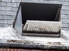 Slechtvalk  20250604  Gisteren naar de Regte Heide geweest en daarna nog even langs de kerktoren in Alphen; Alphen ligt daar immers erg dichtbij. Was benieuwd of er nog jongen te zien zouden zijn; er zijn er daar namelijk vier uitgebroed dit jaar. Niet dus, alleen de oudervogels op het kruis en op een pilaar. Echter, toen ik thuis op de pc het onder gescheten dak en de dito kist beter bekeek moest ik glimlachen. Er steekt een kopje net over de rand van de kast! Dus nog minstens een j