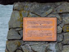 Aalscholver  20251018  Ik was vandaag in het haventje van Colijnsplaat. Kwam daar een bekende en een onbekende tegen. Want die aalscholver kennen we wel. Maar die Johannis? Ik ken geen vogel met een meer vreemde kop dan deze aalscholver, komt vast door zijn hel groene ogen?