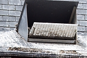 Slechtvalk-20250603g14401A1A9581dtcrfb-Alphen.jpg