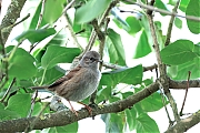 nHeggenmus-20250930g14401A1A3277atcrfb-Tuin.jpg